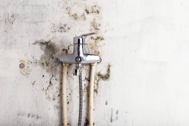 Grantville, GA Mold Remediation Company