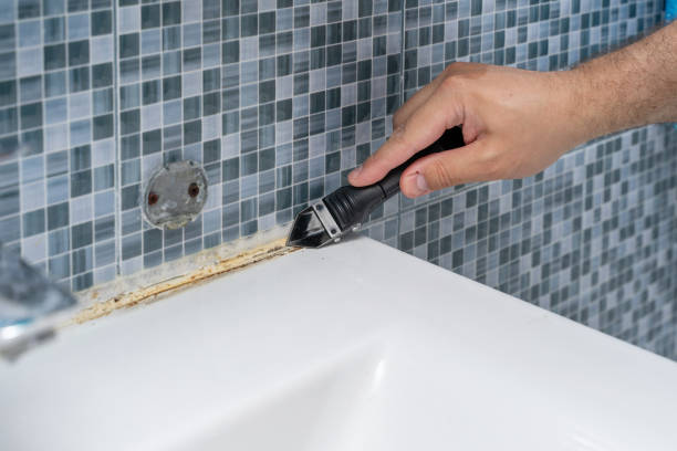  Grantville, GA Mold Removal Pros