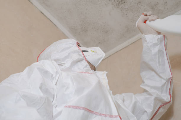 Professional Mold Remediation in Grantville, GA