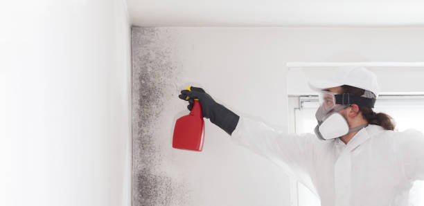 Best HVAC Mold Remediation in Grantville, GA