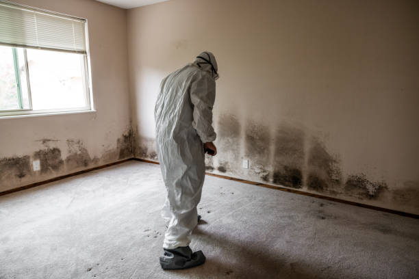 Best Residential Mold Remediation in Grantville, GA