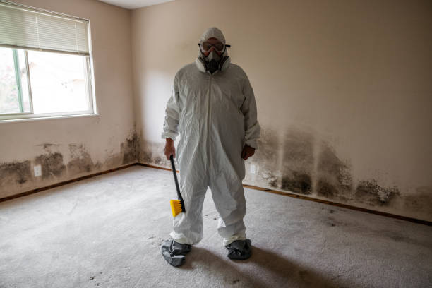 Best Industrial Mold Remediation in Grantville, GA